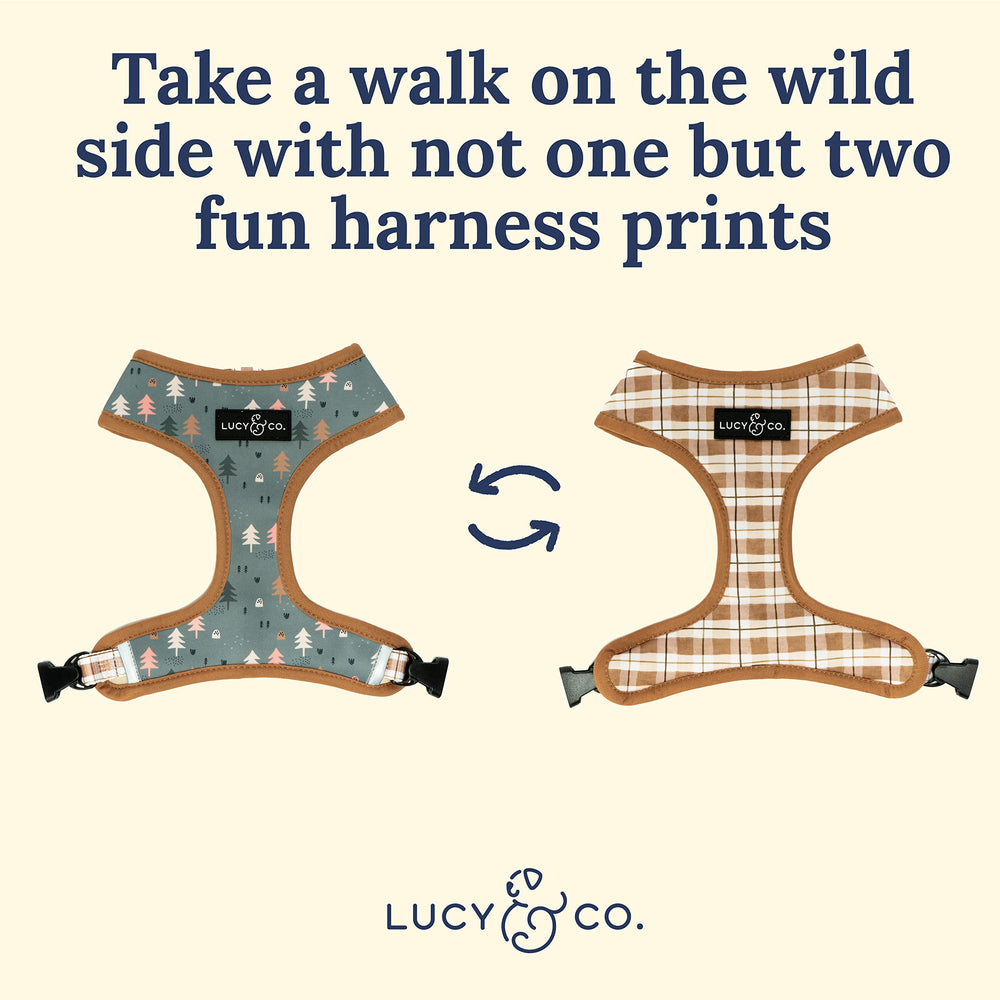Arnés Lucy & Co con neopreno repelente al agua, ideal para paseos diarios.