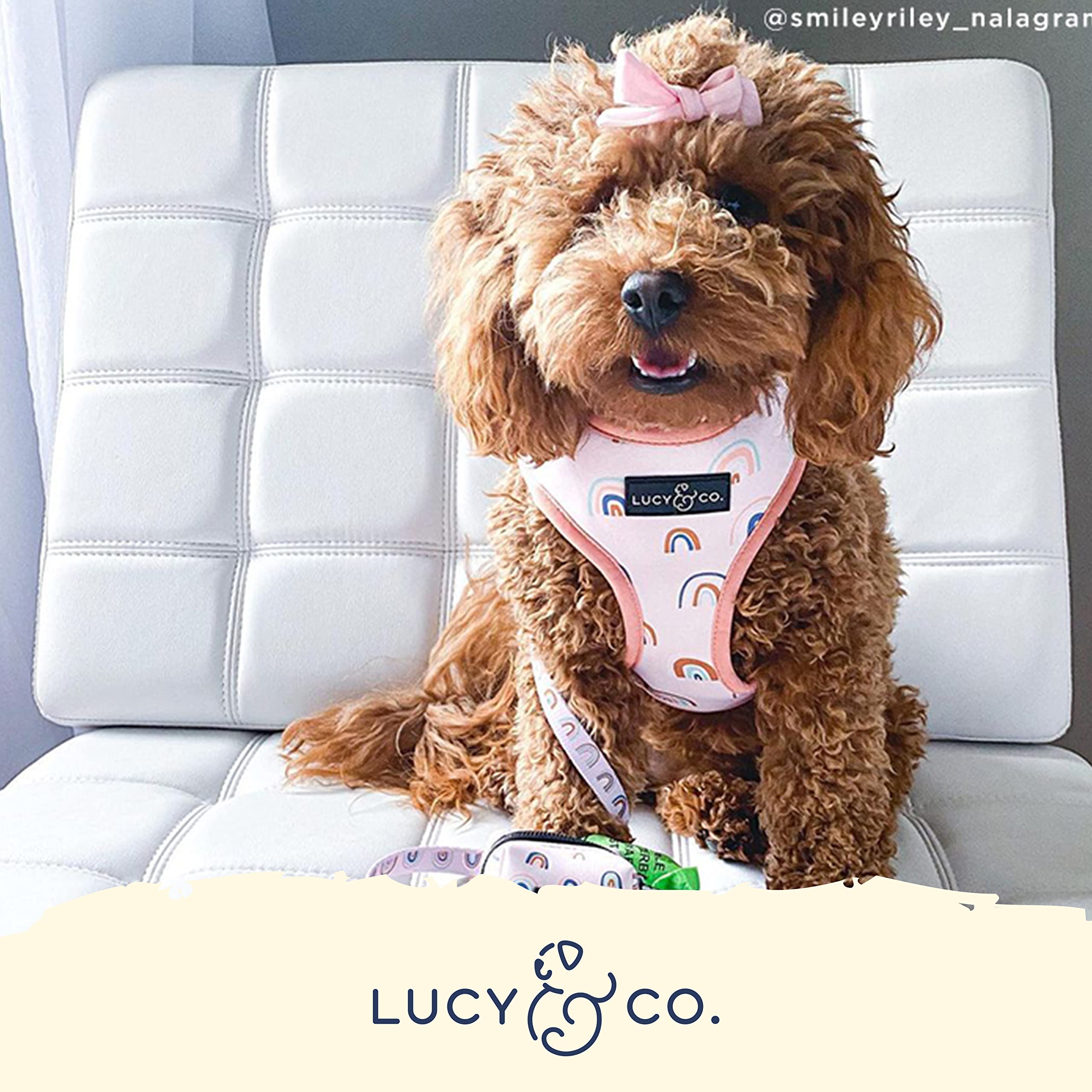 Arnés Lucy & Co. para paseos en ciudad, ajuste rápido y comodidad diaria.