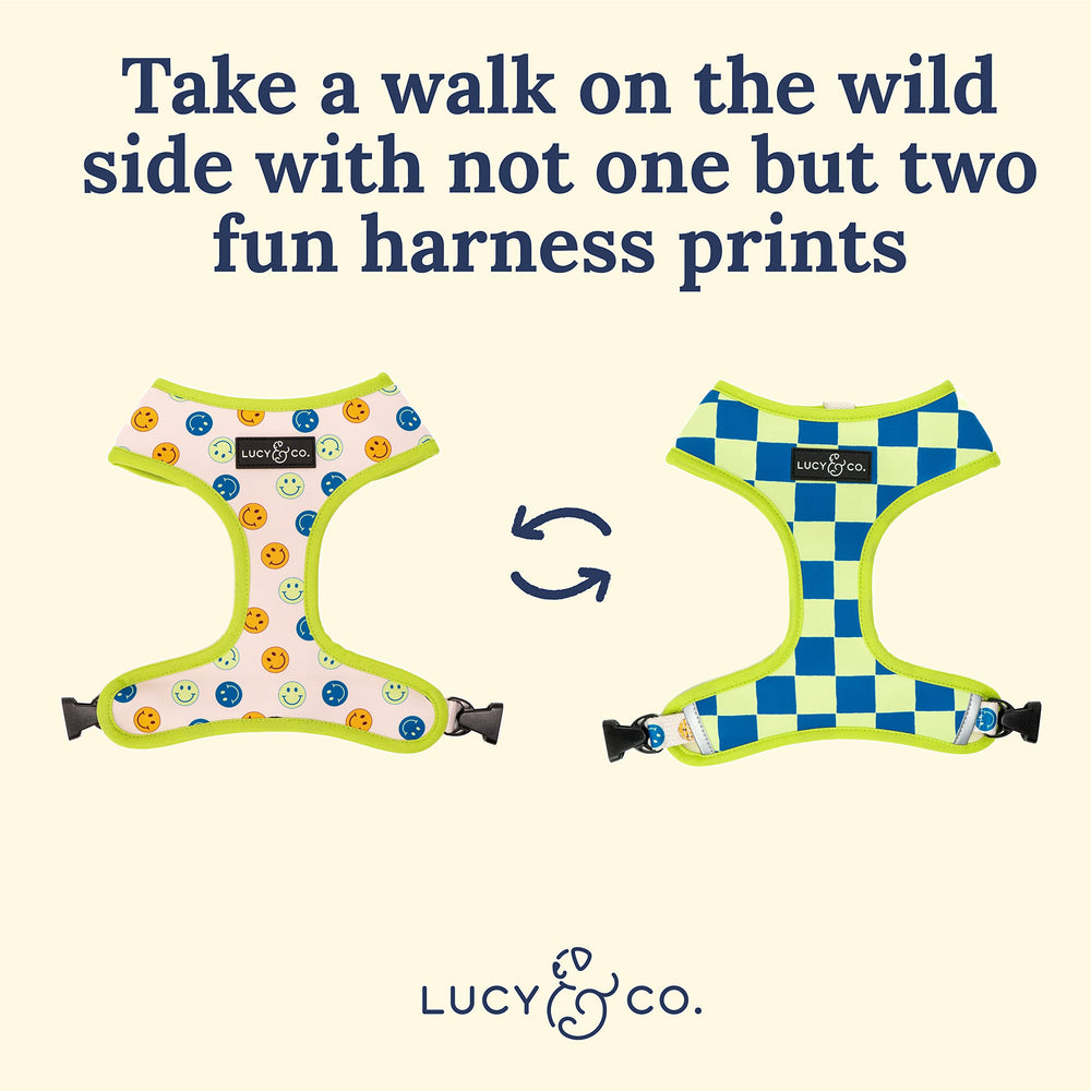Arnés Lucy & Co. acolchado y ajustable, pensado para caminar con comodidad.