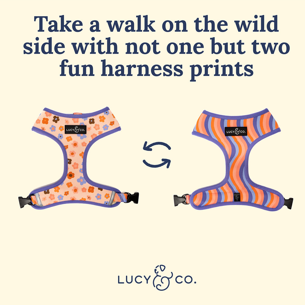 Lucy & Co arnés acolchado ofrece confort suave durante caminatas diarias.