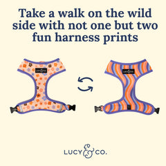 Lucy & Co arnés acolchado ofrece confort suave durante caminatas diarias.