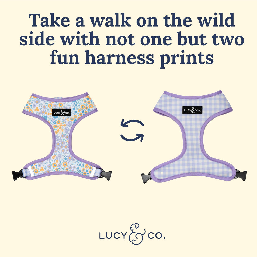 Lucy & Co. arnés ajustable, talla XS-XL, fácil de colocar para todas las razas.