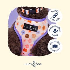 Lucy & Co arnés con ajuste regulable facilita un calce seguro.