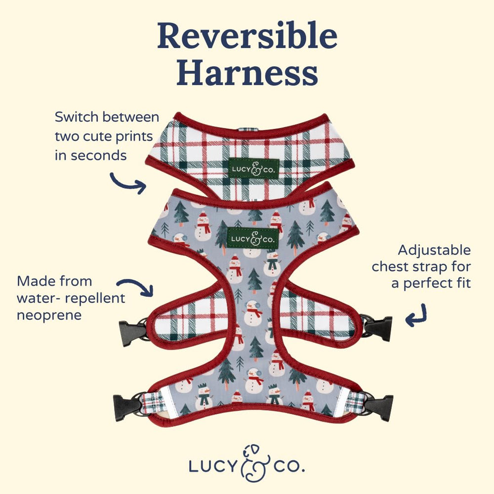 Lucy & Co. diseño en arnés ergonómico para paseos diarios.