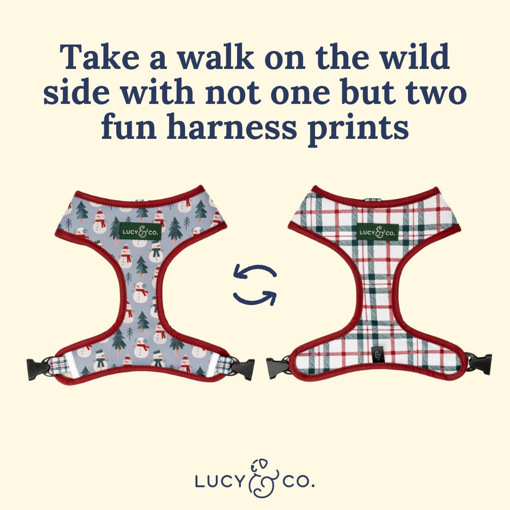Lucy & Co. arnés para perros XS a XL, ajustable y cómodo.