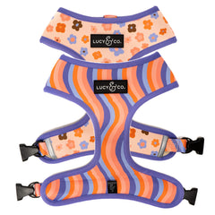 Lucy & Co arnés morado con ola floral coral para paseos cómodos.
