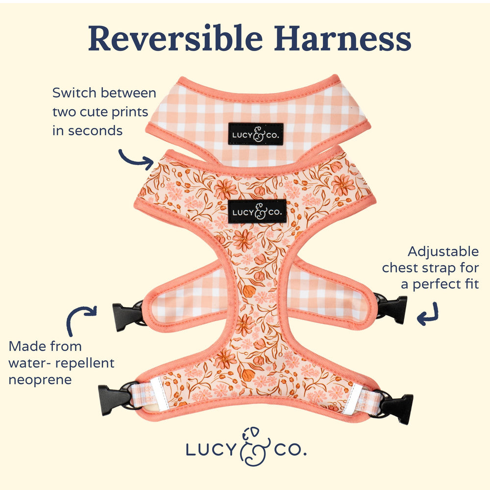 Lucy & Co arnés perro neopreno acolchado, protección suave