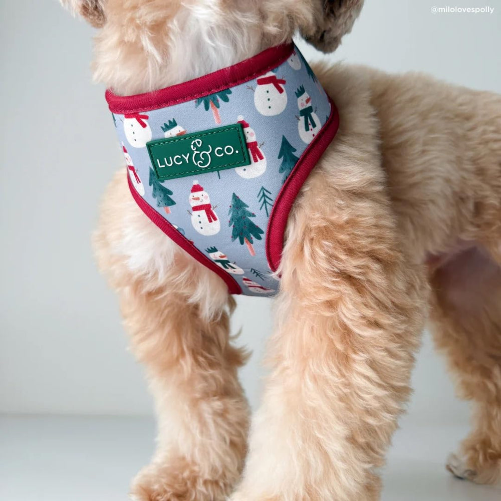 Lucy & Co. arnés impermeable de neopreno, protege en días húmedos.