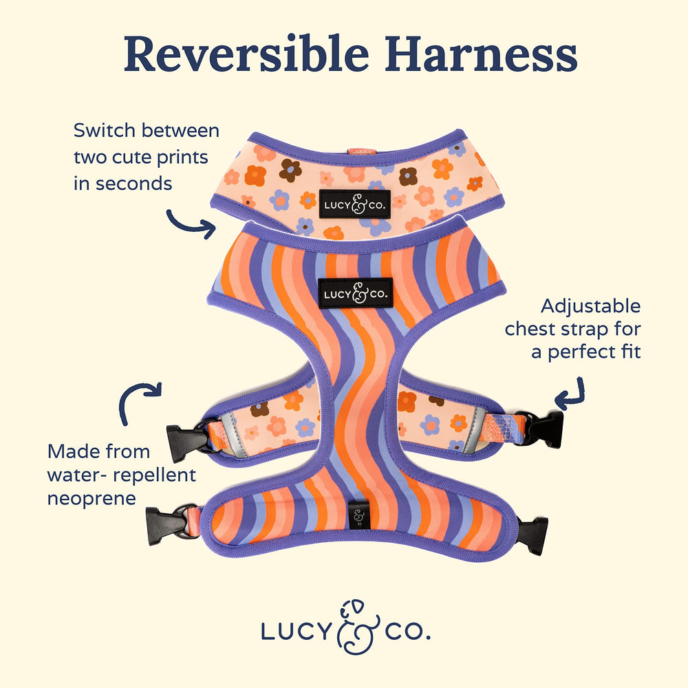Lucy & Co arnés reversible de dos caras para estilo versátil.