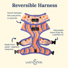 Lucy & Co arnés reversible de dos caras para estilo versátil.