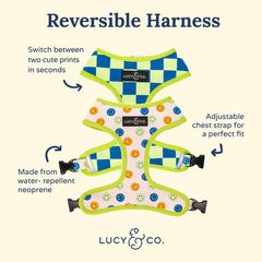 Lucy & Co. arnés reversible para perro, dos caras visibles, estilo versátil para paseos