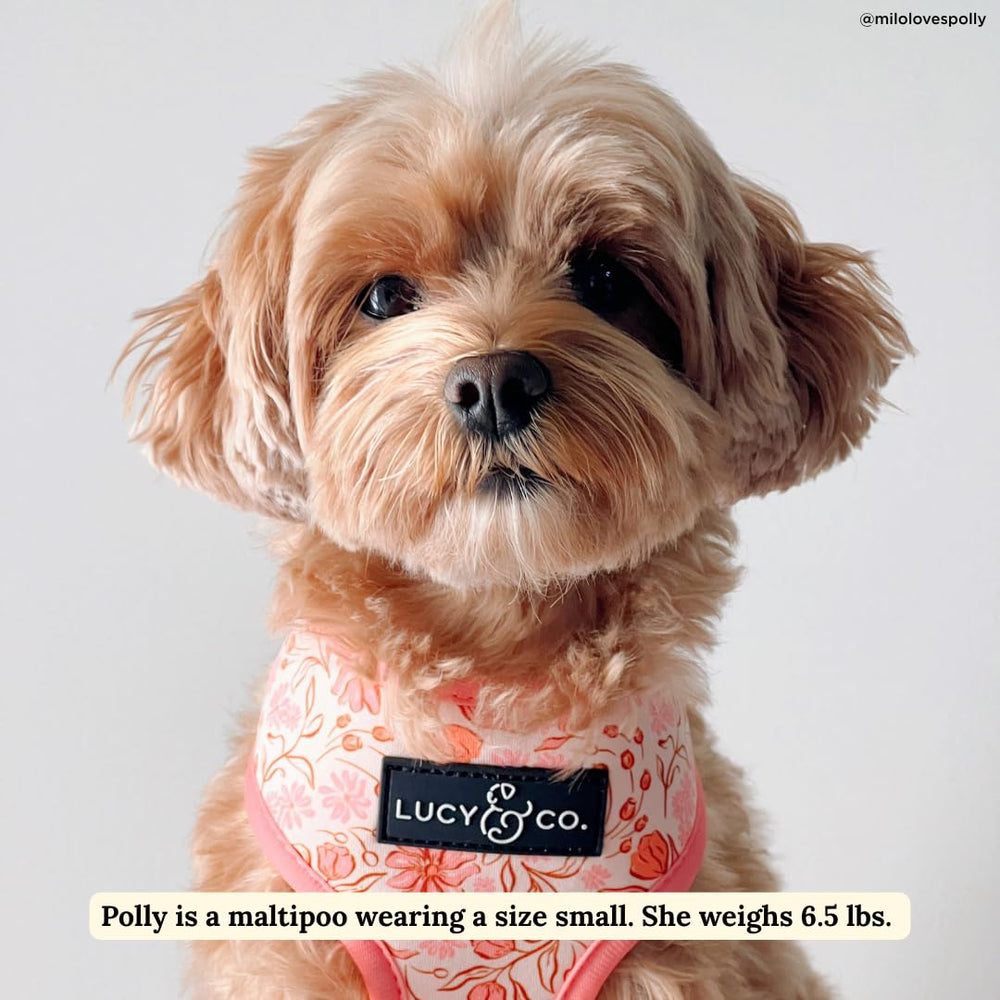 Lucy & Co arnés perro reversible trasero, dos looks en uno