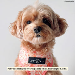 Lucy & Co arnés perro reversible trasero, dos looks en uno