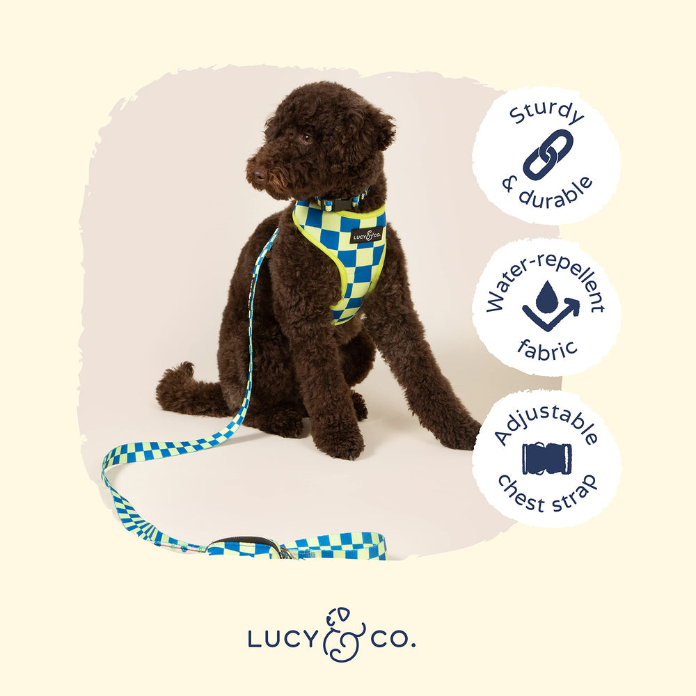 Arnés Lucy & Co. disponible en tallas XS a XL, ideal para perros pequeños y grandes.