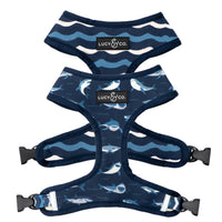 Arnés Lucy & Co reversible frontal estampado, ideal para paseos con estilo.