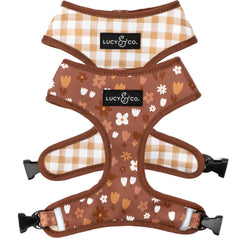 Lucy & Co arnés reversible frontal para paseos diarios.