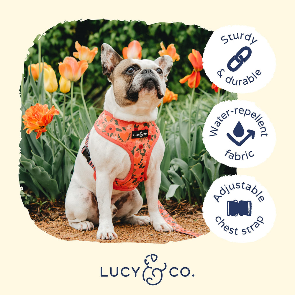 Cierre resistente del arnés reversible Lucy & Co para salidas diarias.