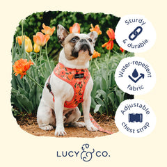 Cierre resistente del arnés reversible Lucy & Co para salidas diarias.