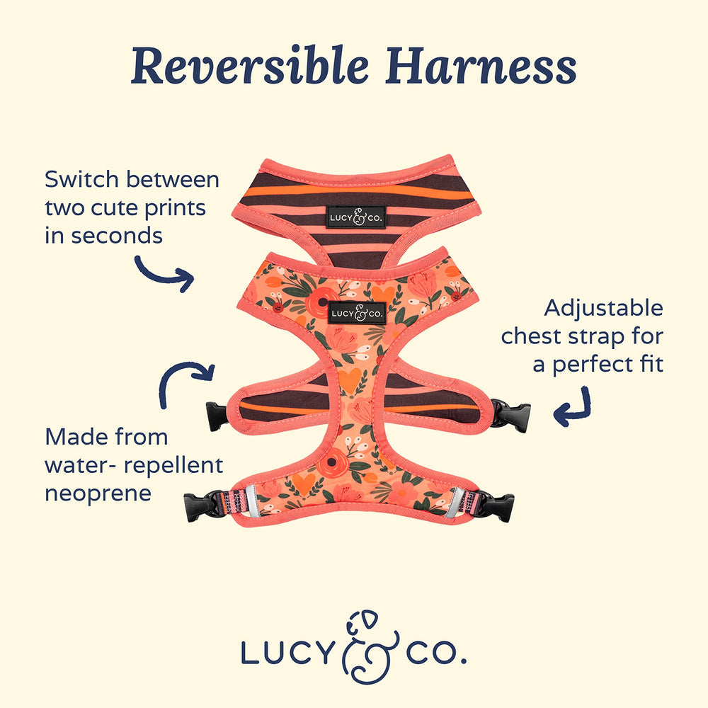 Lucy & Co arnés reversible, correas ajustables para un ajuste personalizado.