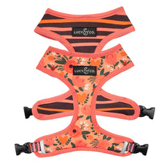 Arnés reversible Lucy & Co para perros, vista frontal, cómodo para paseos diarios.