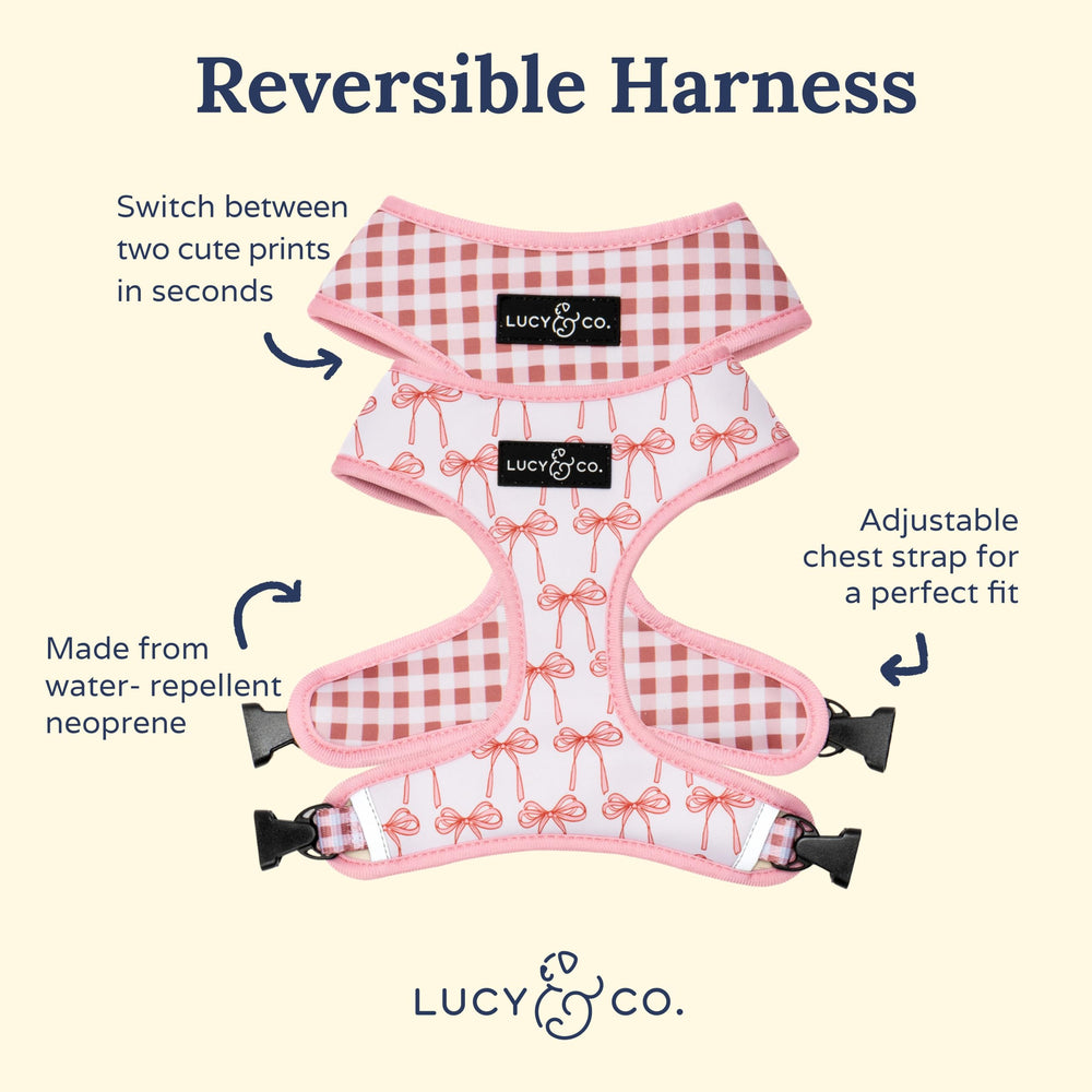 Arnés Lucy & Co para perro, diseño con rosas y reversibilidad.