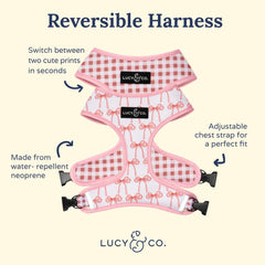 Arnés Lucy & Co para perro, diseño con rosas y reversibilidad.