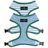 Arnés Lucy & Co Set Sail vista frontal, estilo reversible para paseos cómodos