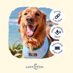 Hebillas duraderas del arnés Lucy & Co Set Sail para uso activo