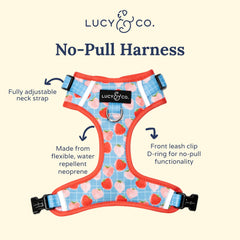 Arnés Lucy & Co. sin tirones, vista dorsal para ajuste seguro.