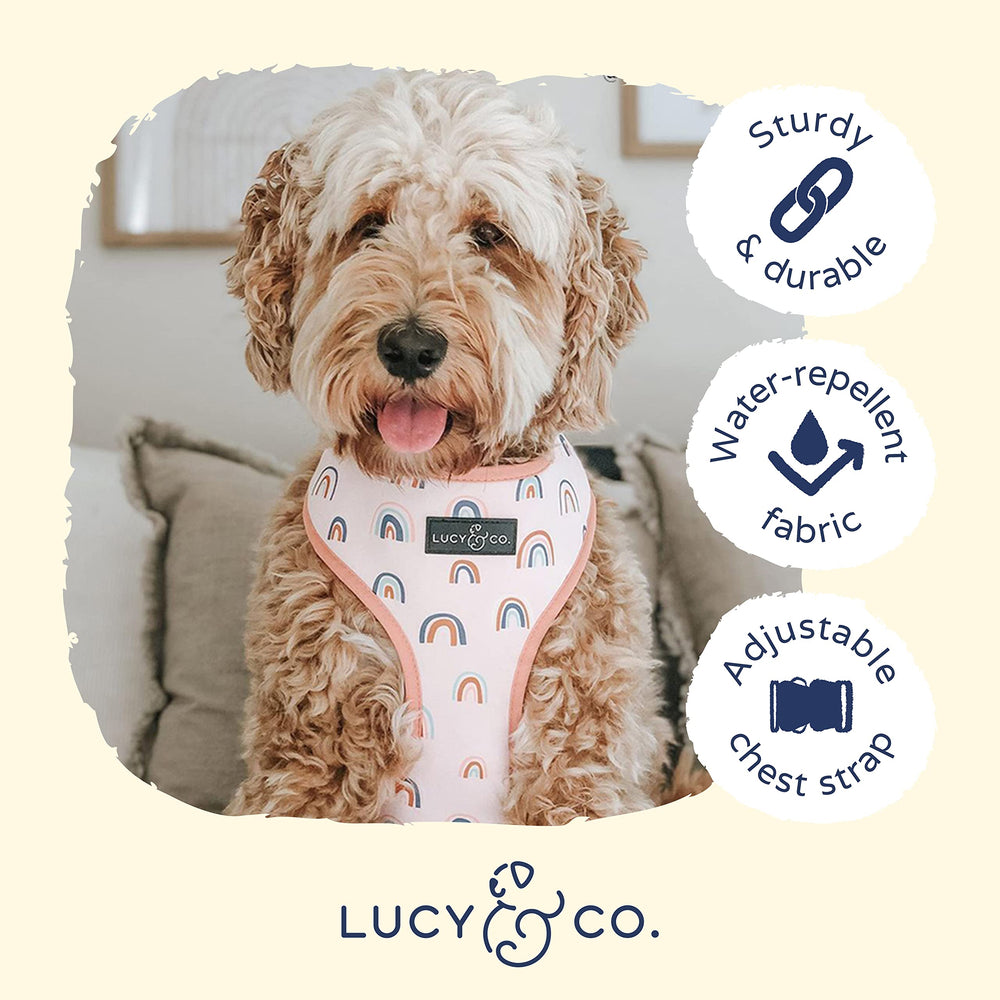 Arnés Lucy & Co. talla grande en Las Nubes, diseño reversible para looks variados.