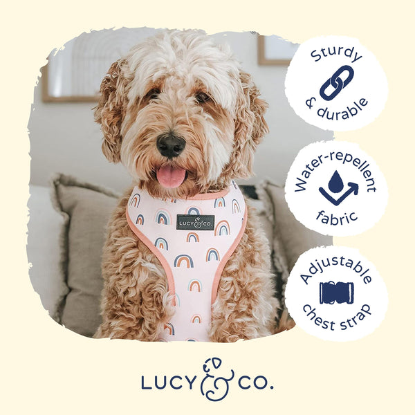 Arnés Lucy & Co. talla grande en Las Nubes, diseño reversible para looks variados.