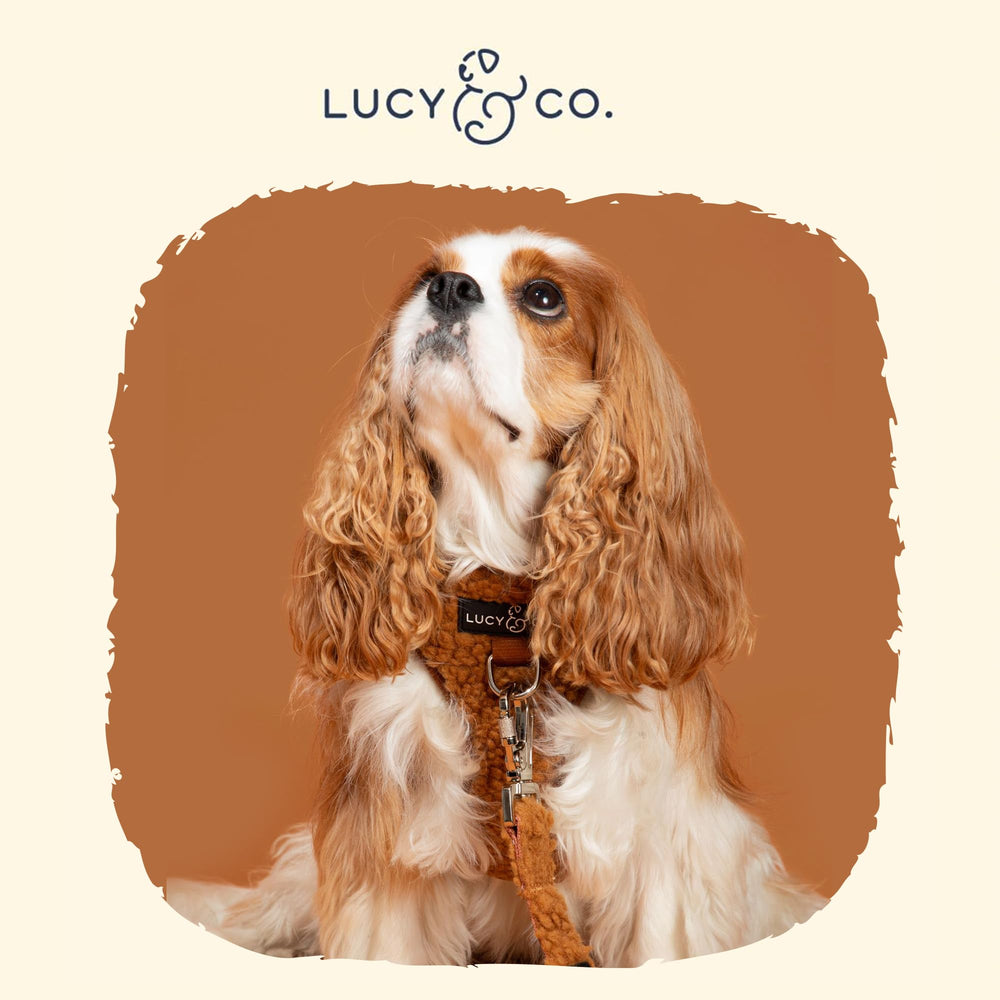 Lucy & Co. arnés Teddy Canela, interior transpirable que mantiene al perro fresco.