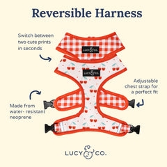 Lucy & Co. Cheery Cherries hebillas resistentes, cierre seguro para perros activos.