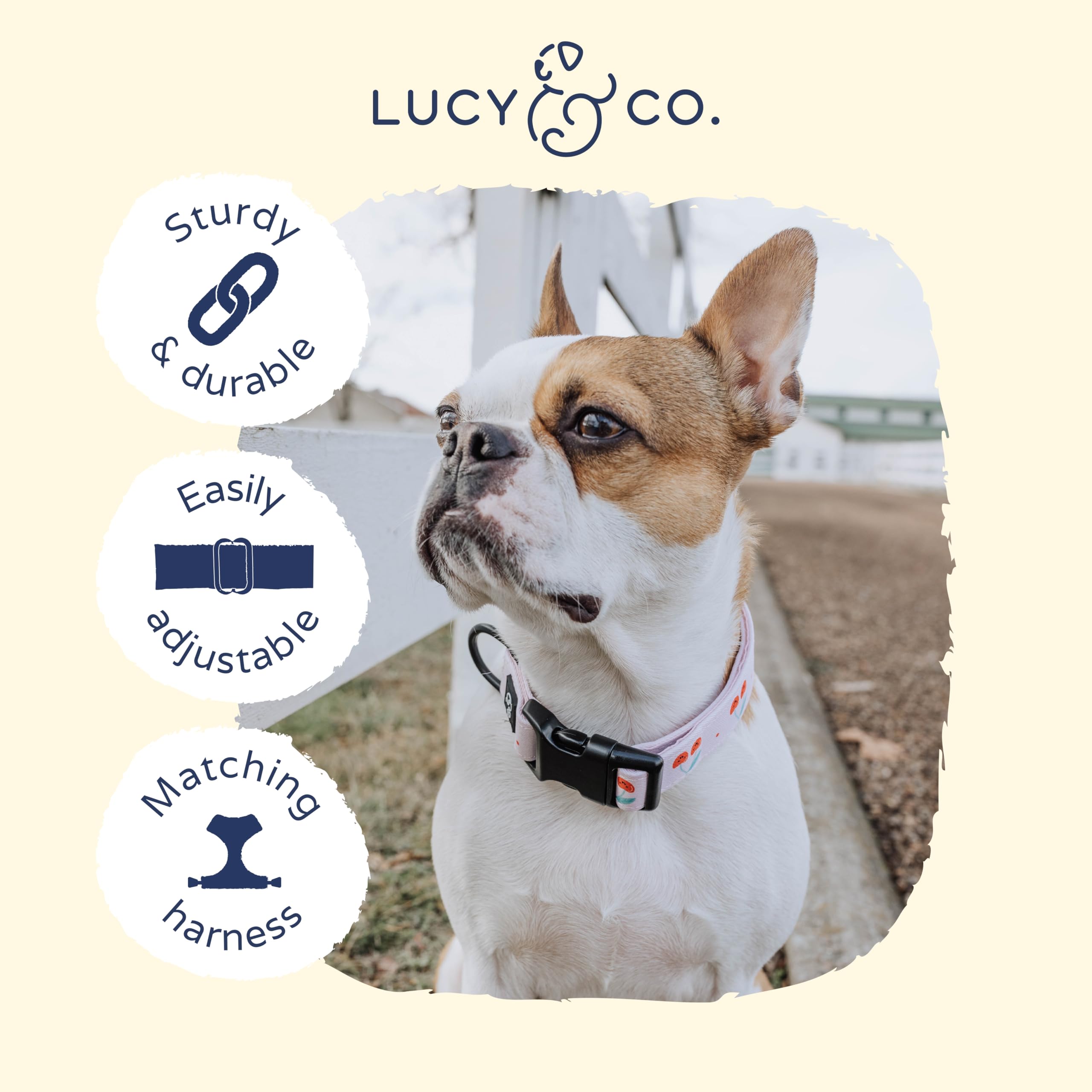 Collar Lucy & Co. Cerezas Alegres con diseño de cuadros rojo, elegante para todas las tallas.