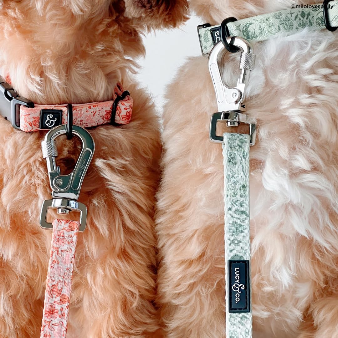 Collar Lucy & Co. con liberación rápida para ponérselo y quitarlo fácilmente.