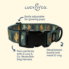 Lucy & Co. collar con estampados lindos para expresar la personalidad