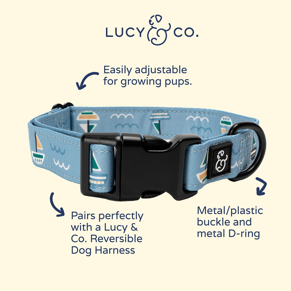 Lucy & Co. collar con hebilla metálica duradera, seguro y fácil de colocar