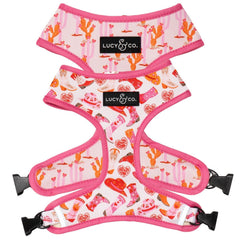 Collar Lucy & Co Little Lamb con ajuste cómodo para paseos.
