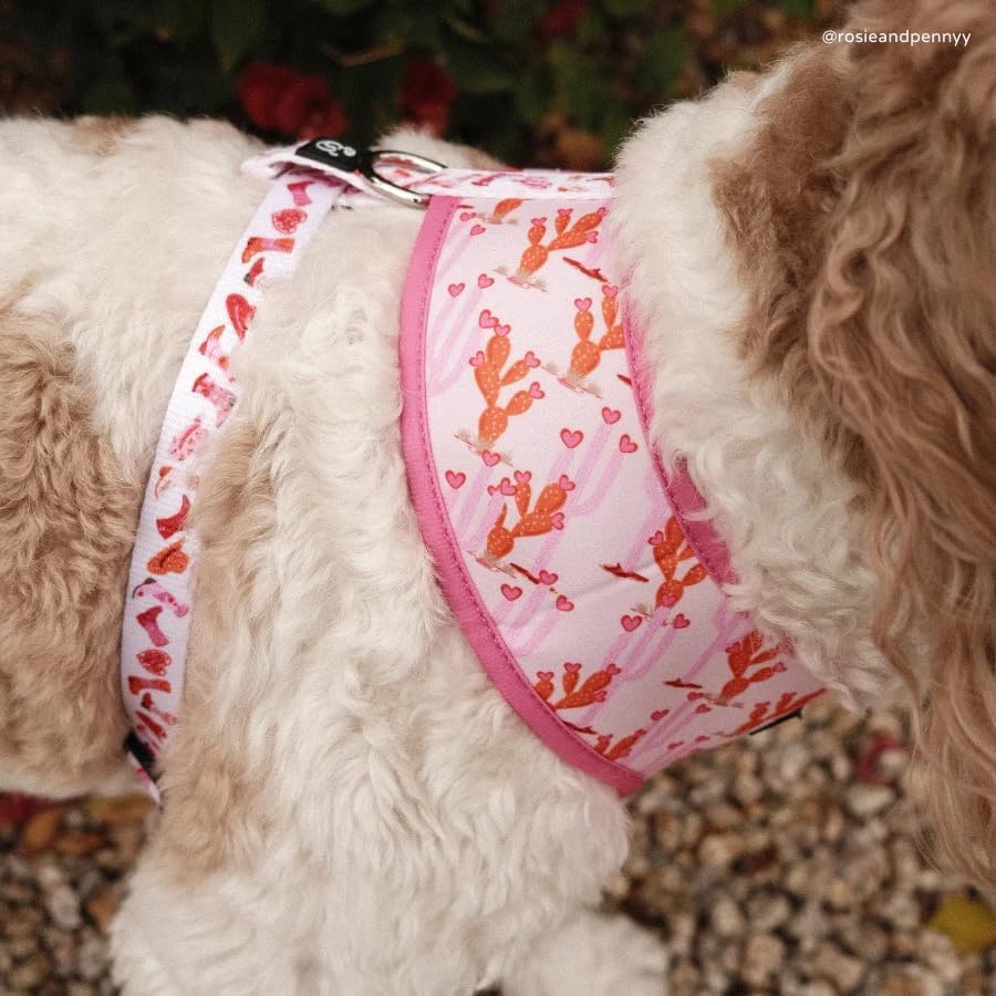 Detalle de estampado amarillo del collar Lucy & Co Little Lamb.