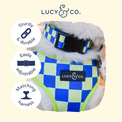 Collar ligero de Lucy & Co con patrones divertidos, ideal para diversas tallas.