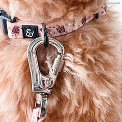 Collar Lucy & Co ajustable para todas las tallas, de pequeño a grande.