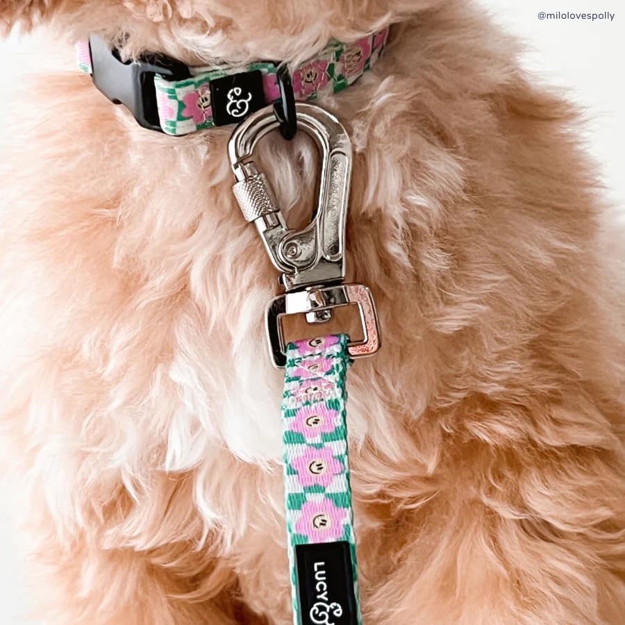 Lucy & Co. collar perro con ajuste regulable para comodidad diaria.