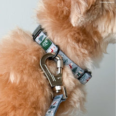 Collar ajustable Lucy & Co para perros de todas las tallas, cómodo y seguro.