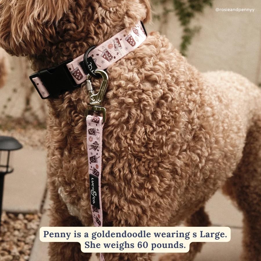 Lucy & Co. collar con cinta de poliéster premium para mayor durabilidad.