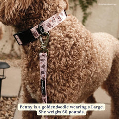 Lucy & Co. collar con cinta de poliéster premium para mayor durabilidad.