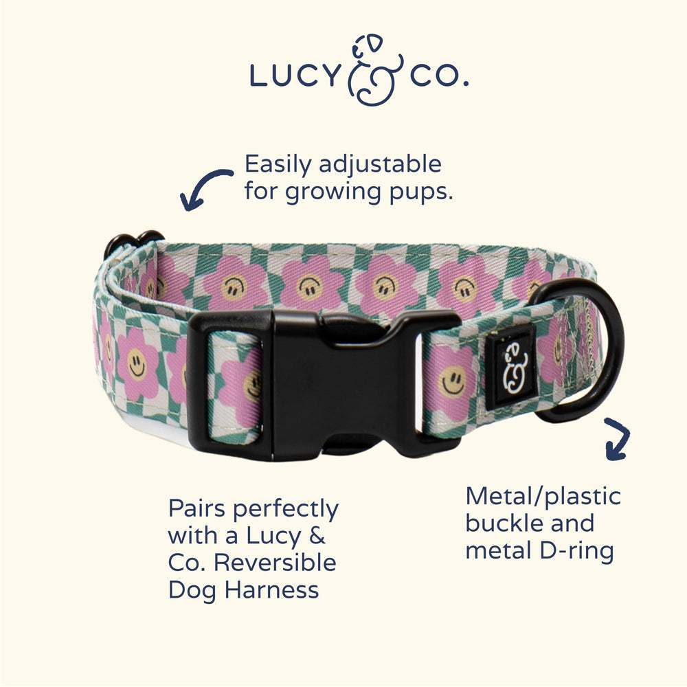 Lucy & Co. collar perro diseño multicolor para expresar personalidad.