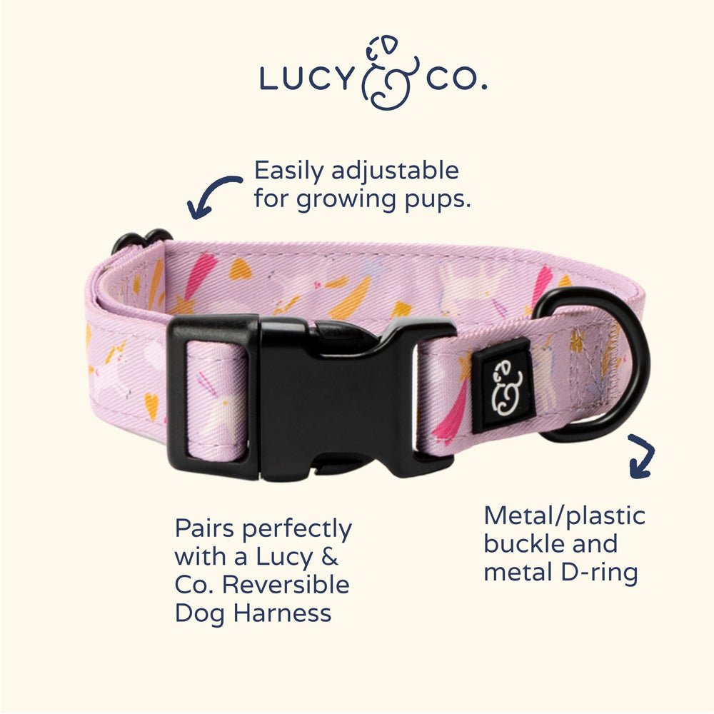 Lucy & Co. collar con diseños divertidos, ligero para paseos y juego.