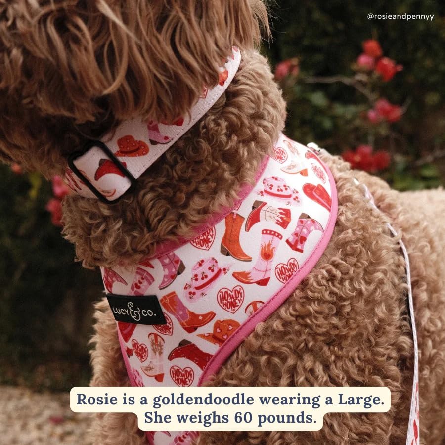 Lucy & Co. collar con diseños variados para expresar la personalidad de tu perro