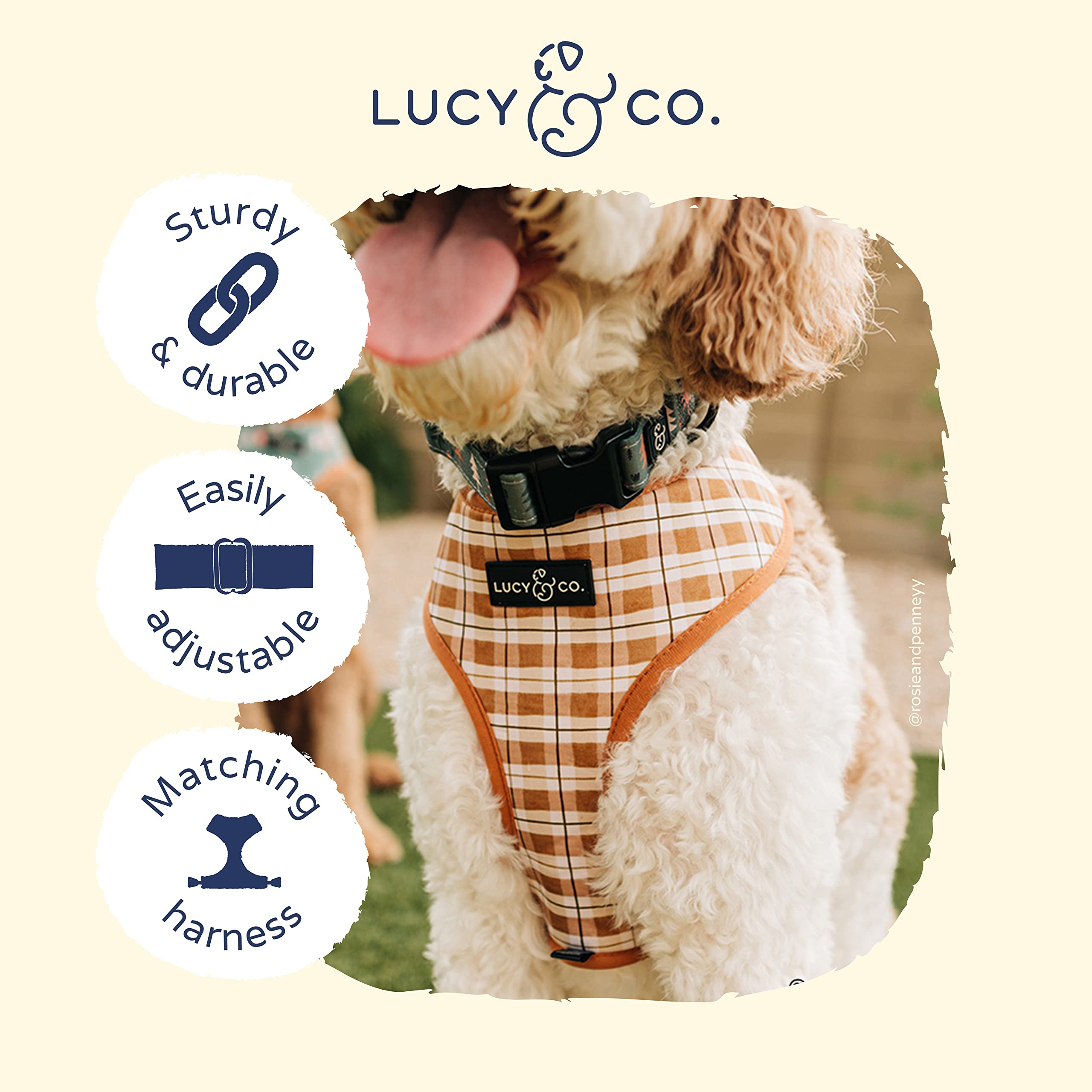Lucy & Co collar en uso con ajuste cómodo para perros de todos los tamaños