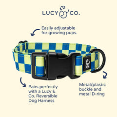 Lucy & Co. hebilla de metal del collar, ajuste seguro para cualquier tamaño.